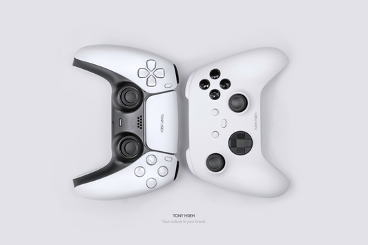 Tony Hsieh Gaming Control